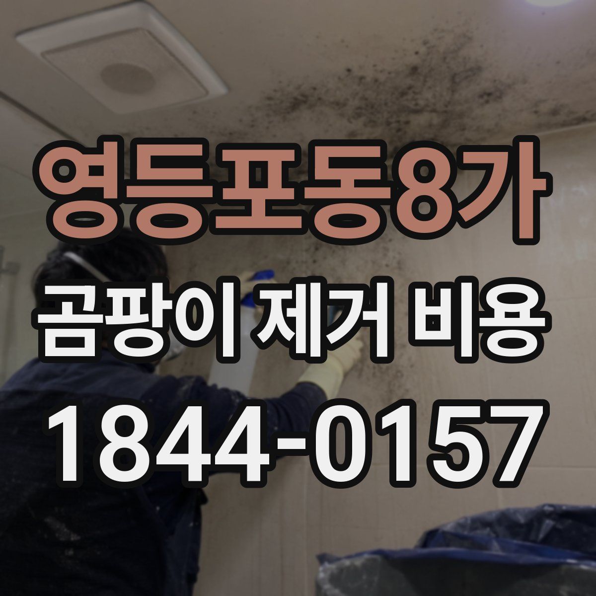 영등포동8가 곰팡이 제거 비용