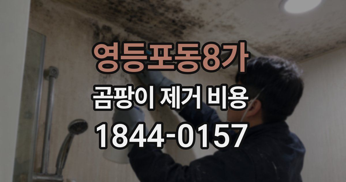영등포동8가 곰팡이 제거 비용