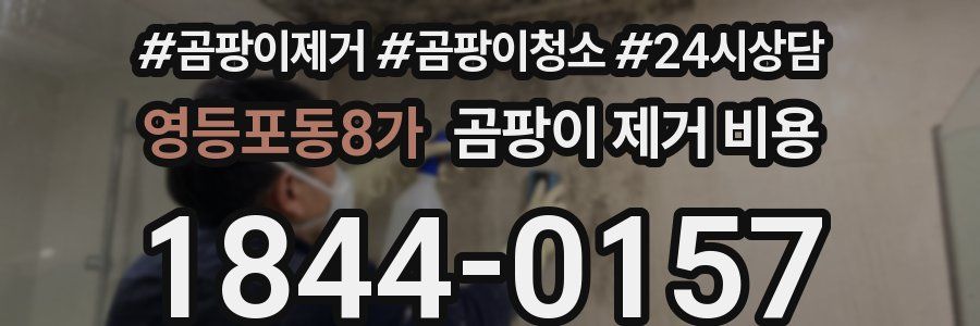 영등포동8가 곰팡이 제거 비용