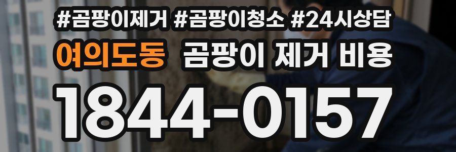 여의도동 곰팡이 제거 비용