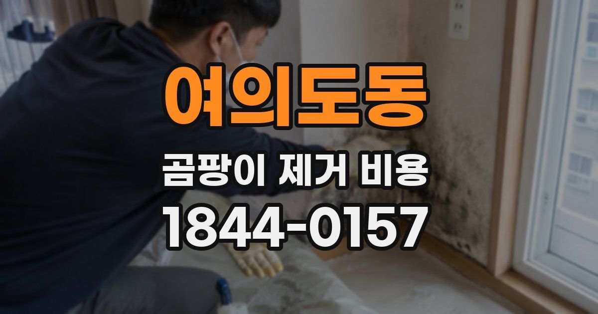 여의도동 곰팡이 제거 비용
