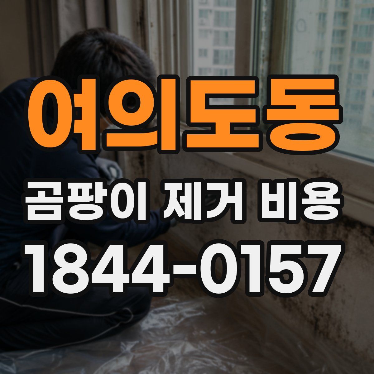 여의도동 곰팡이 제거 비용