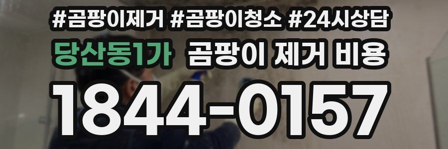 당산동1가 곰팡이 제거 비용