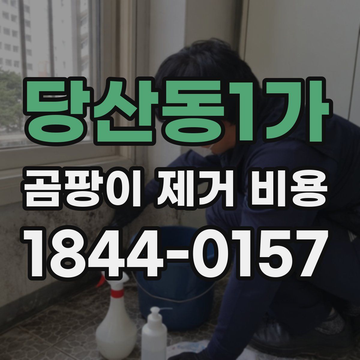 당산동1가 곰팡이 제거 비용