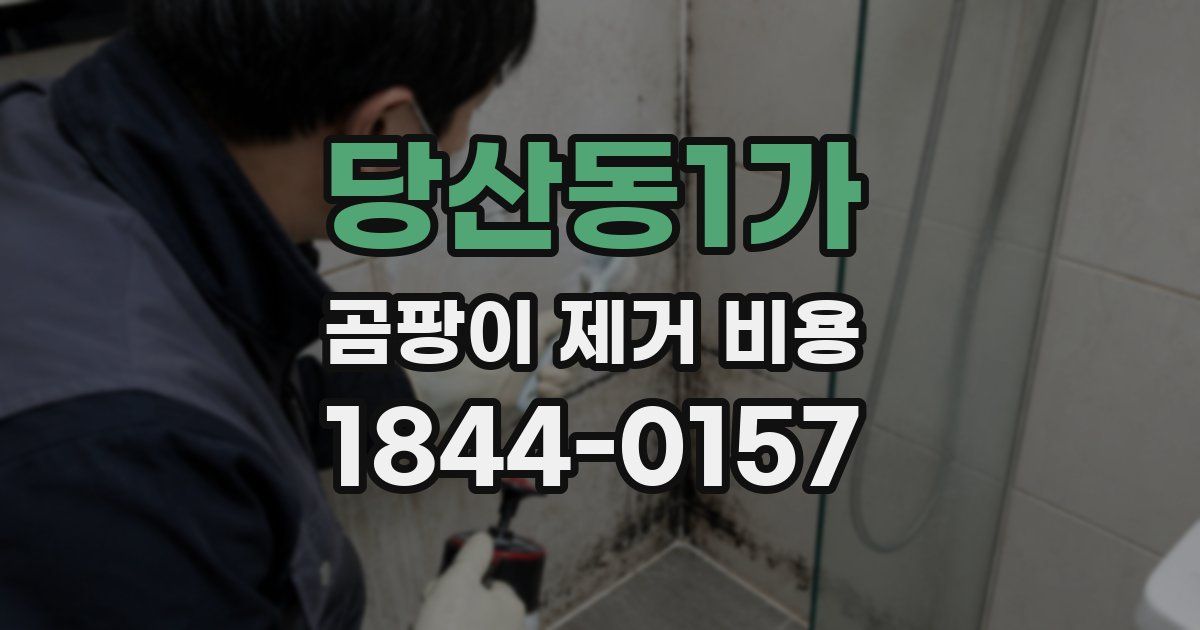 당산동1가 곰팡이 제거 비용