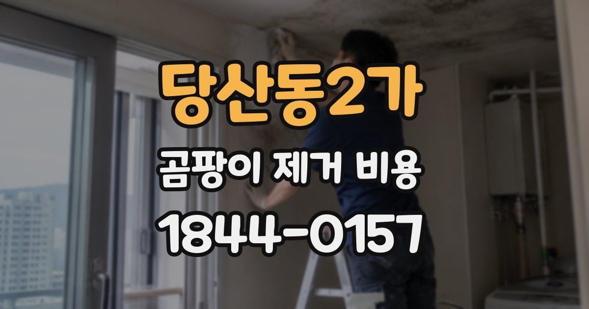 당산동2가 곰팡이 제거 비용