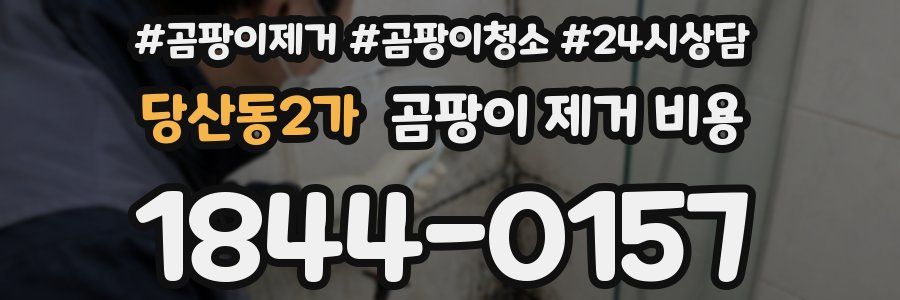 당산동2가 곰팡이 제거 비용