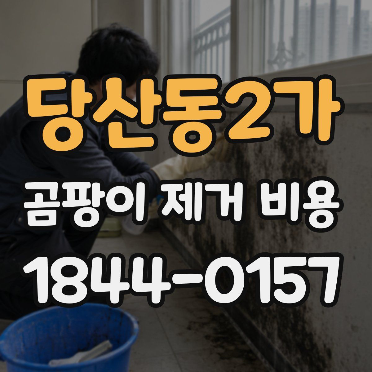 당산동2가 곰팡이 제거 비용
