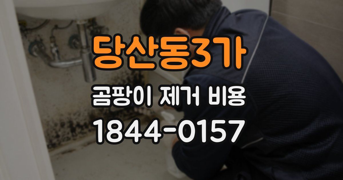 당산동3가 곰팡이 제거 비용