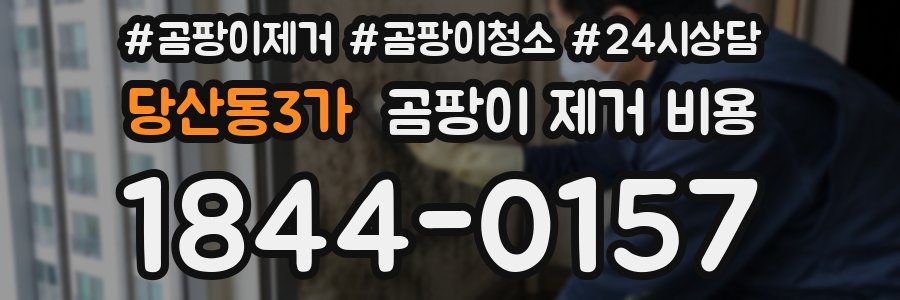당산동3가 곰팡이 제거 비용