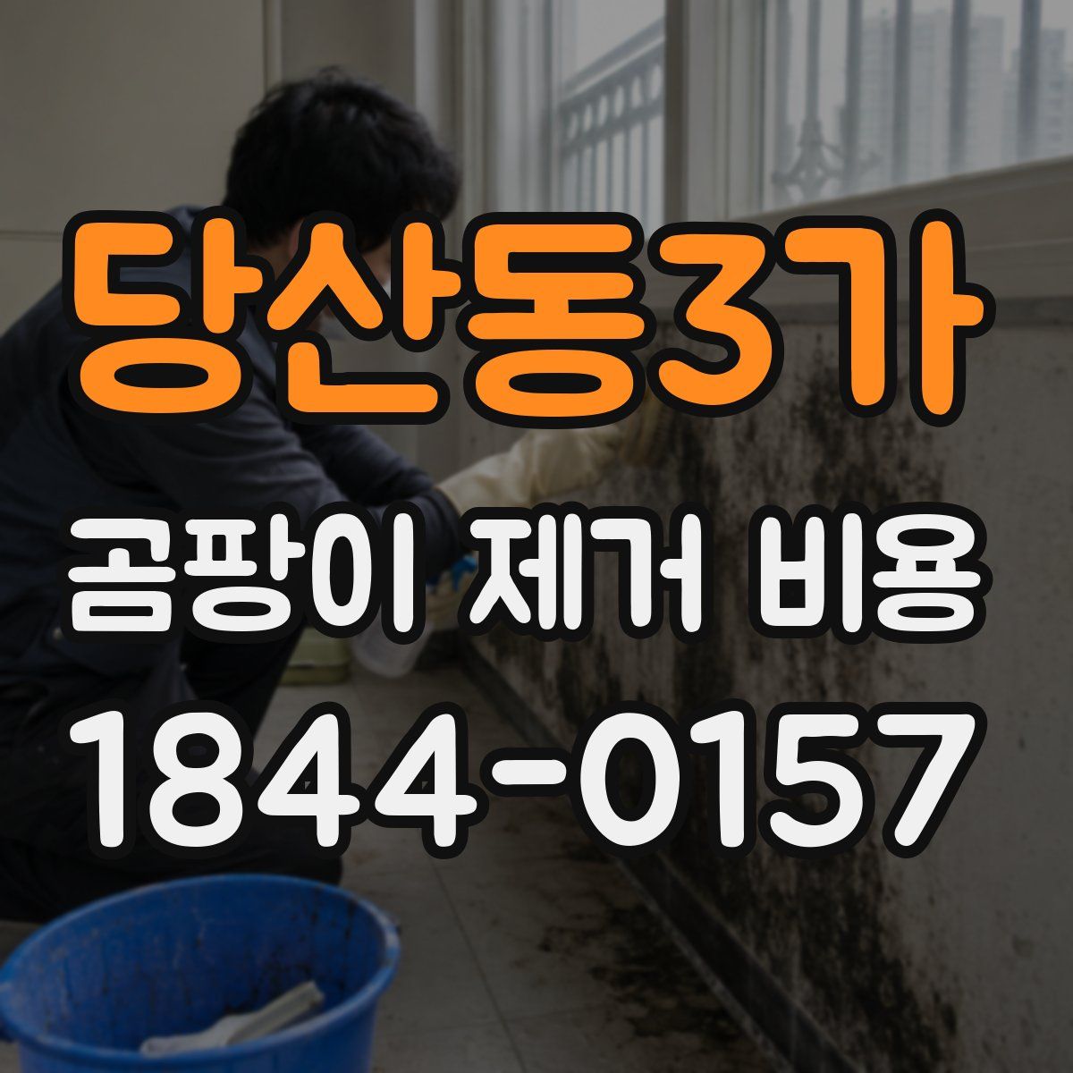 당산동3가 곰팡이 제거 비용