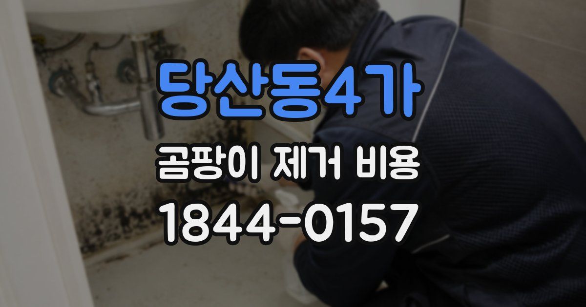 당산동4가 곰팡이 제거 비용