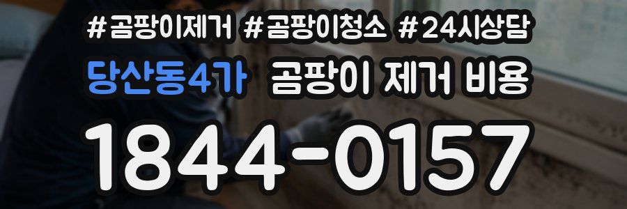 당산동4가 곰팡이 제거 비용