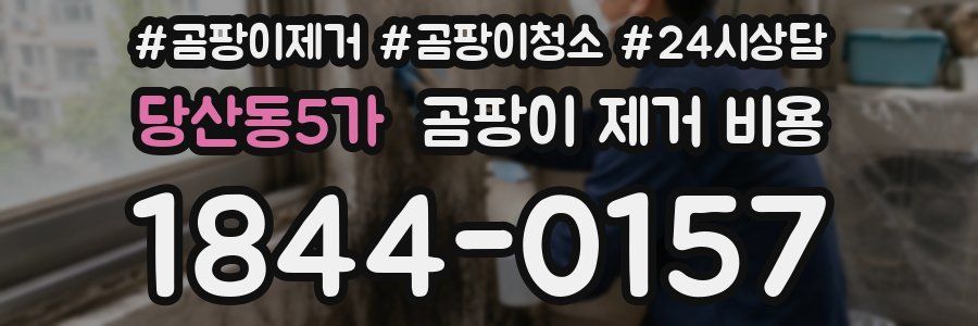 당산동5가 곰팡이 제거 비용
