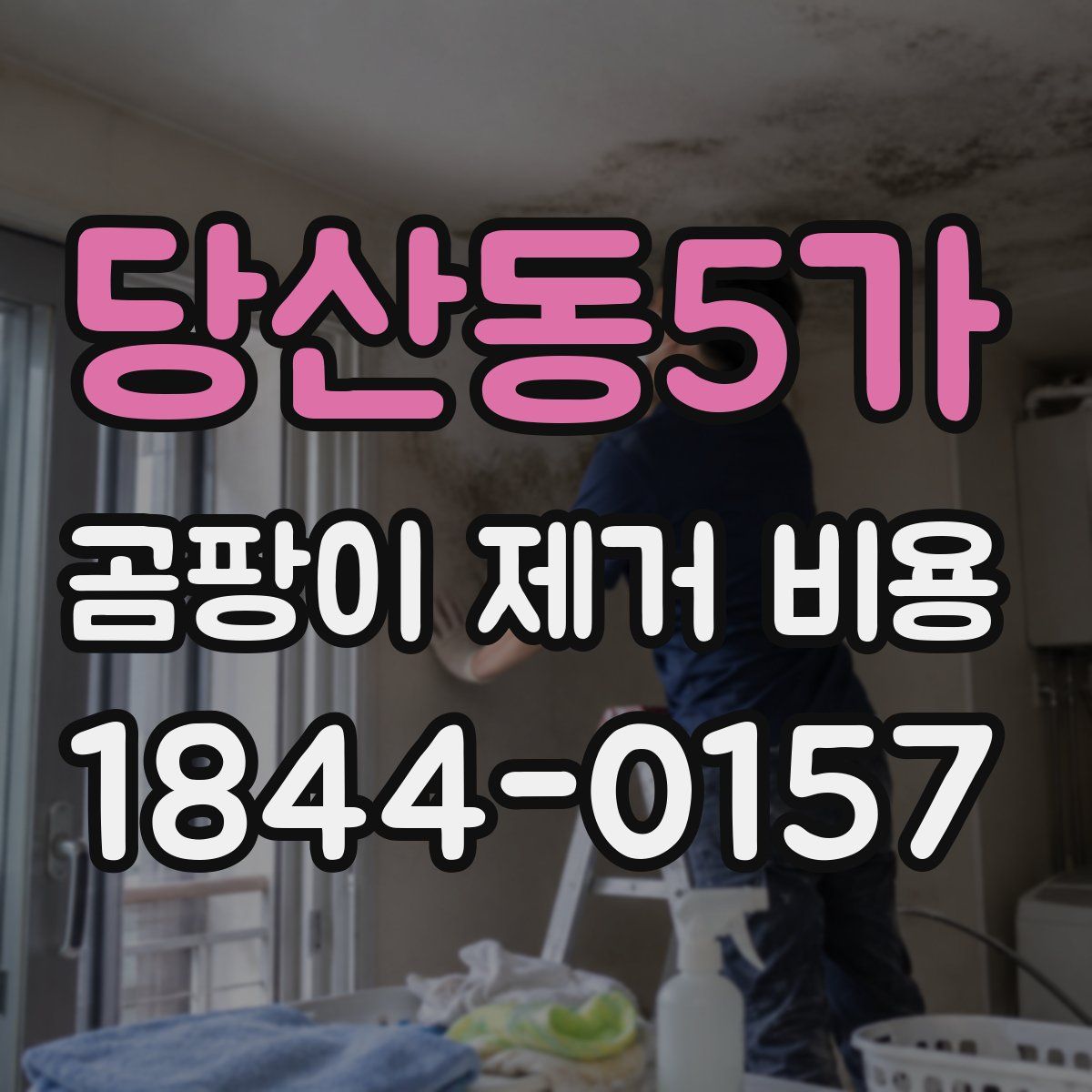 당산동5가 곰팡이 제거 비용