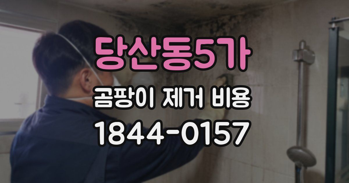당산동5가 곰팡이 제거 비용