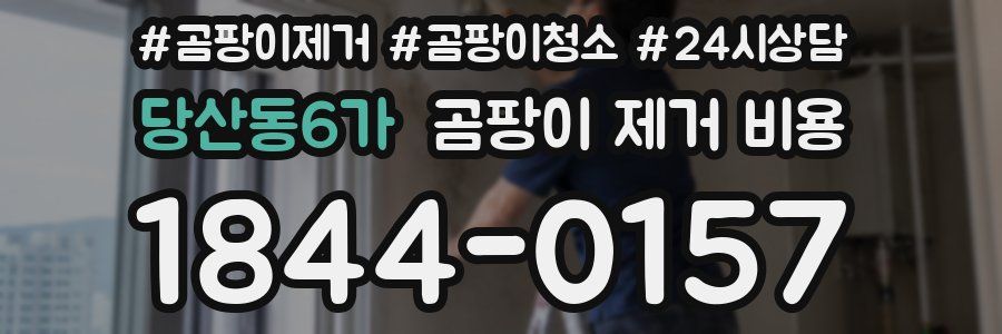 당산동6가 곰팡이 제거 비용