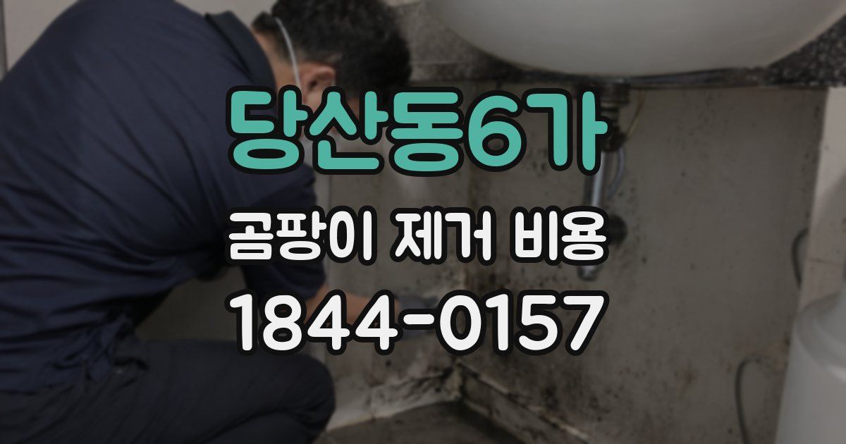 당산동6가 곰팡이 제거 비용