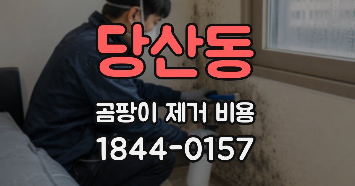 당산동 곰팡이 제거 비용