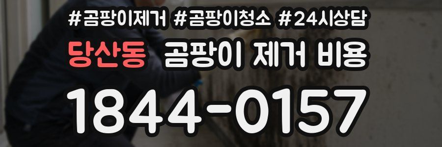 당산동 곰팡이 제거 비용