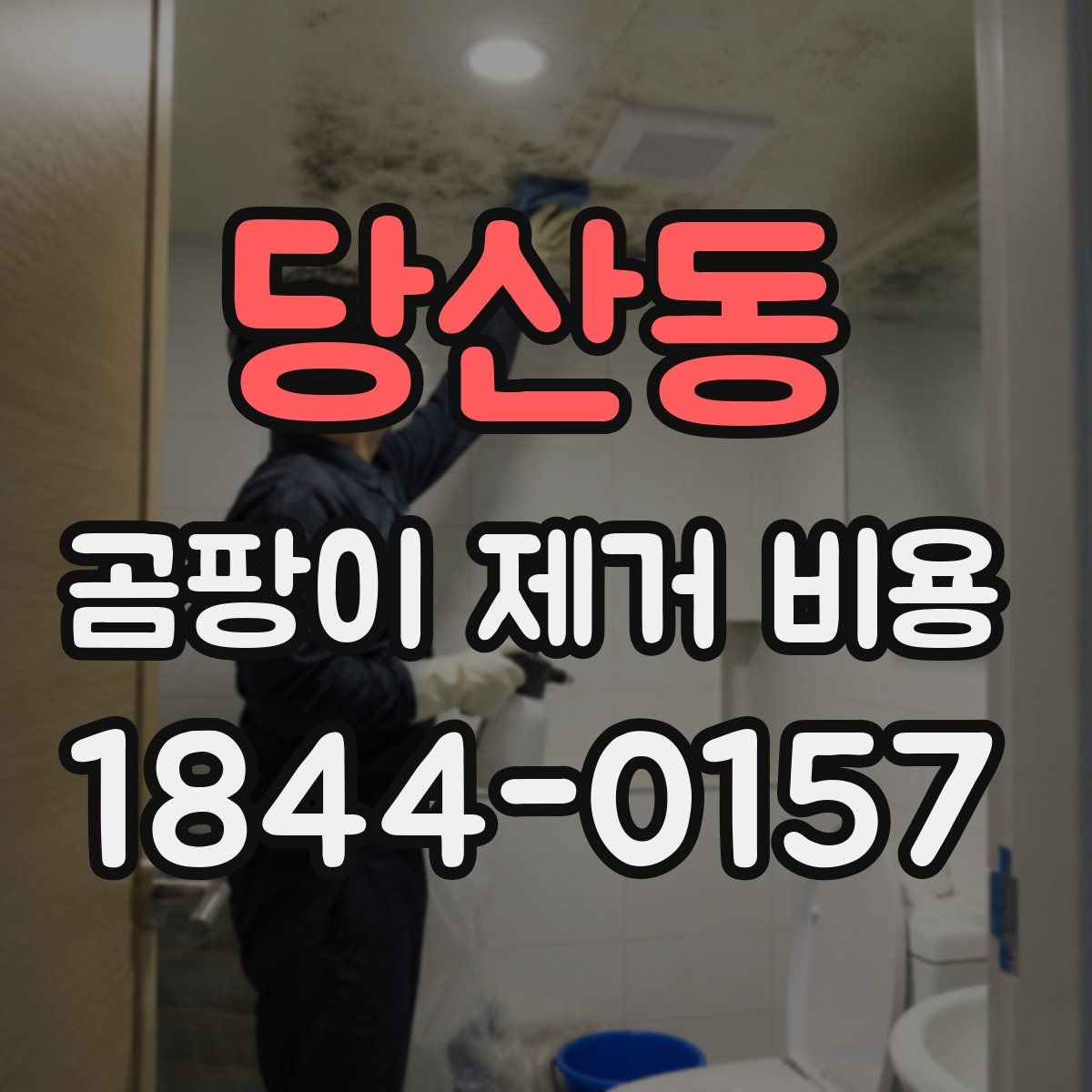 당산동 곰팡이 제거 비용