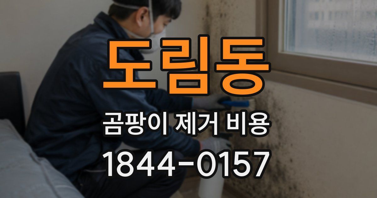 도림동 곰팡이 제거 비용
