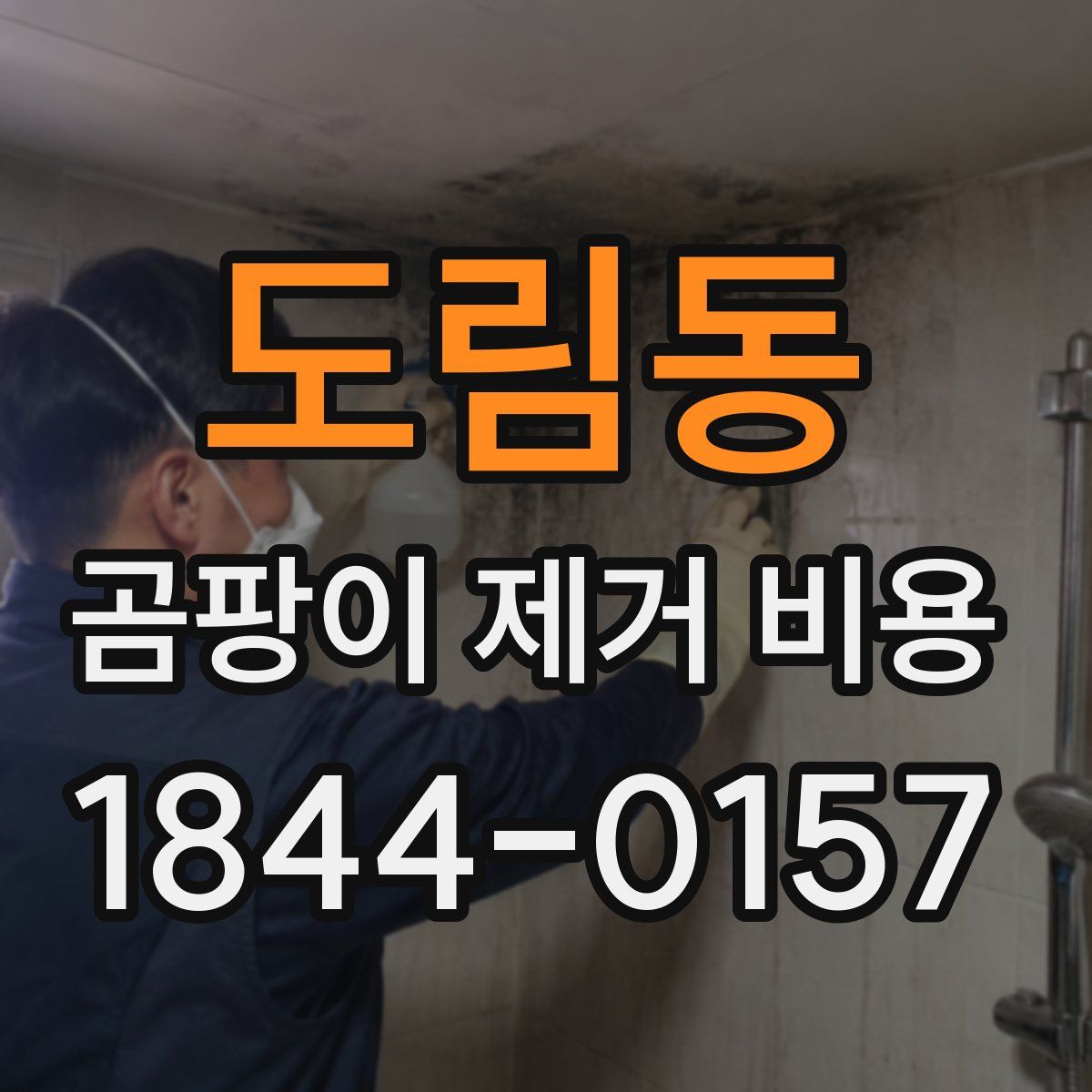 도림동 곰팡이 제거 비용