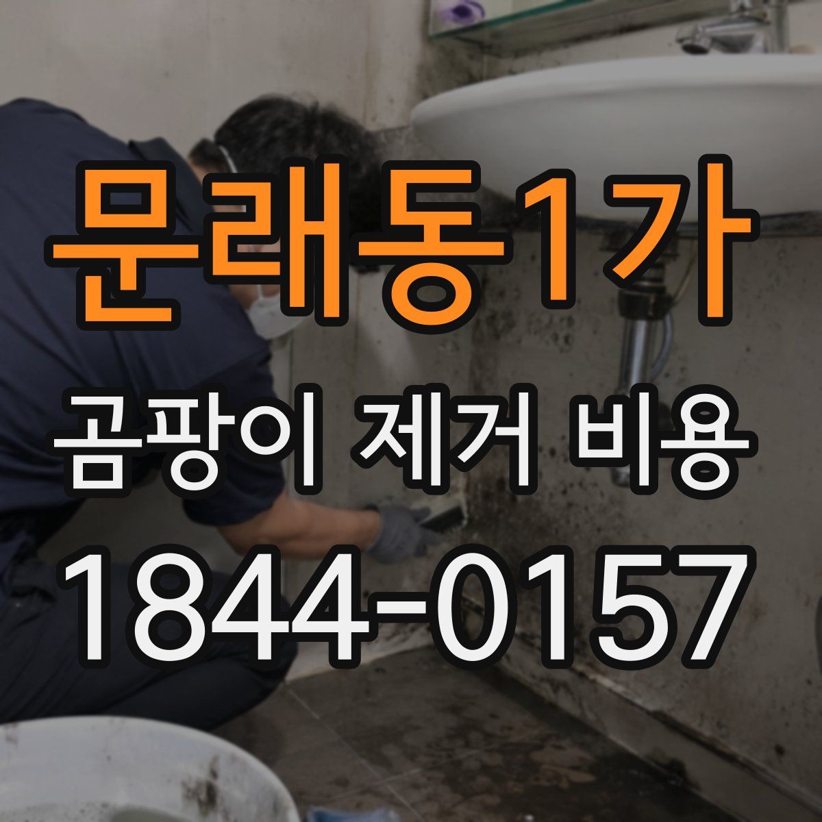 문래동1가 곰팡이 제거 비용