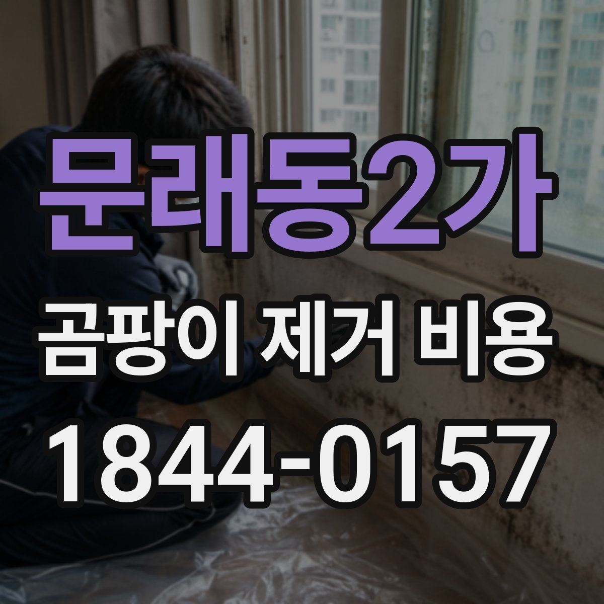 문래동2가 곰팡이 제거 비용 천장과 몰딩이 함께 오염됐을 때