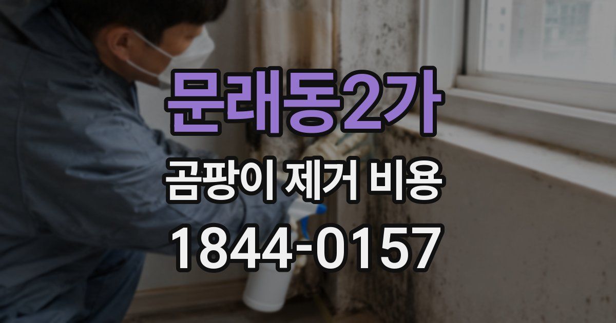 문래동2가 곰팡이 제거 비용