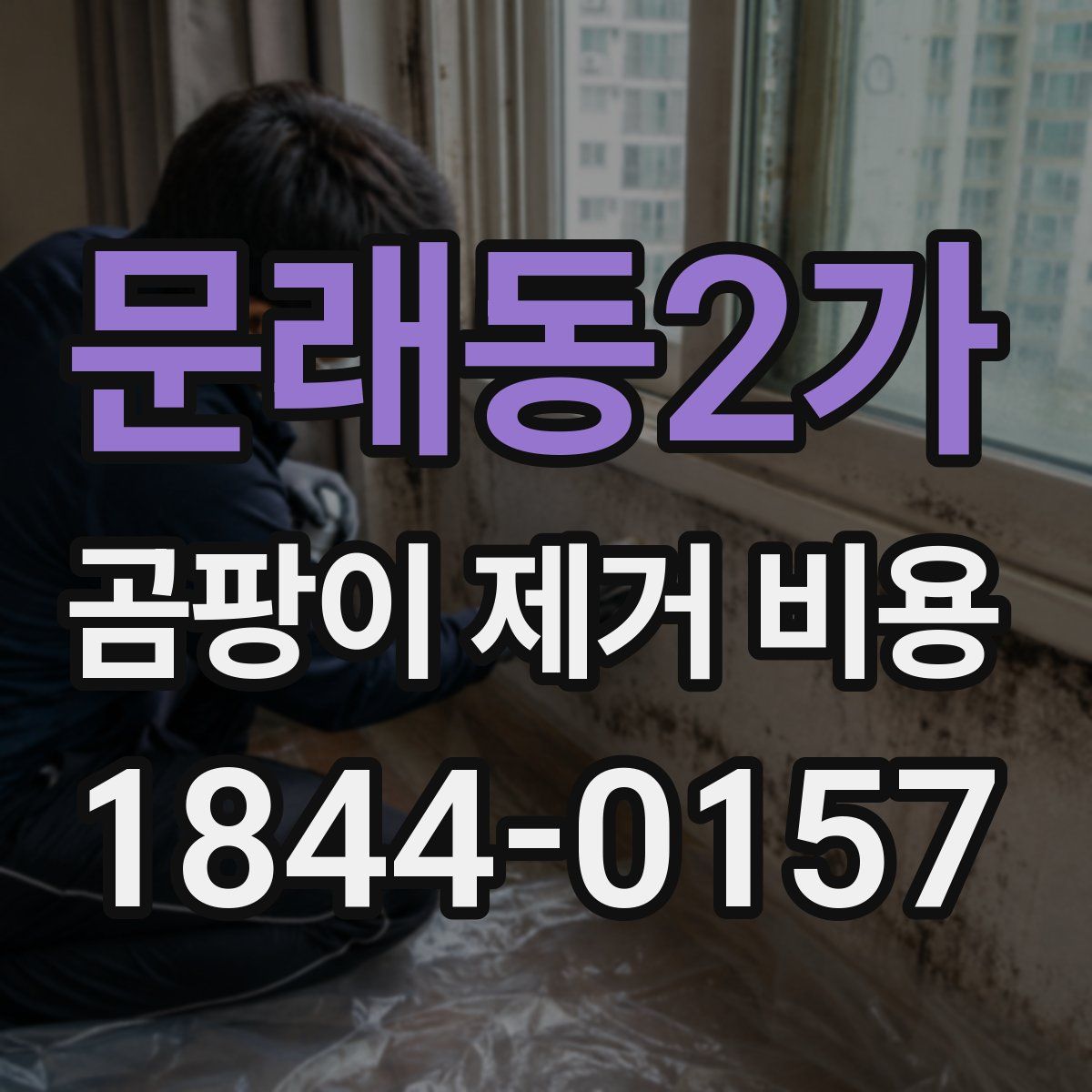 문래동2가 곰팡이 제거 비용