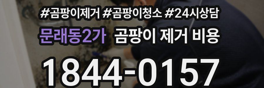 문래동2가 곰팡이 제거 비용