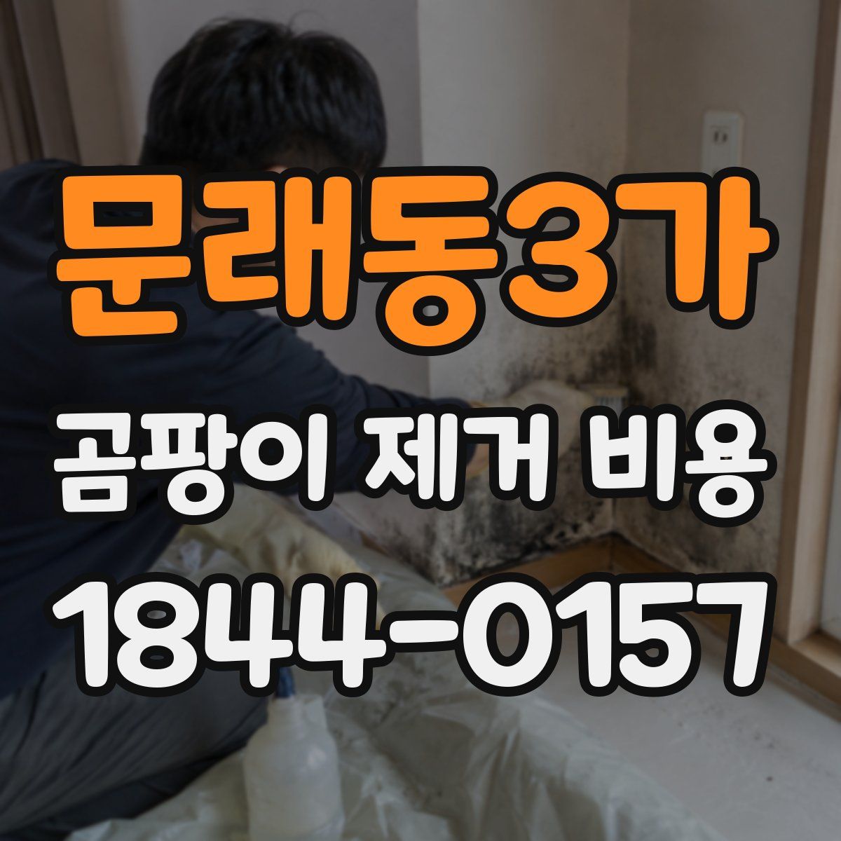 문래동3가 곰팡이 제거 비용