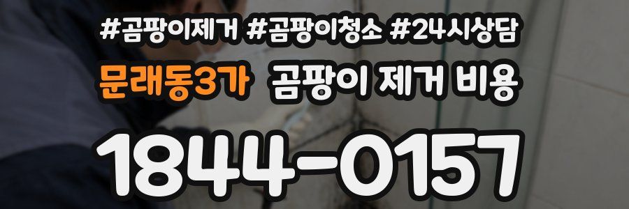 문래동3가 곰팡이 제거 비용