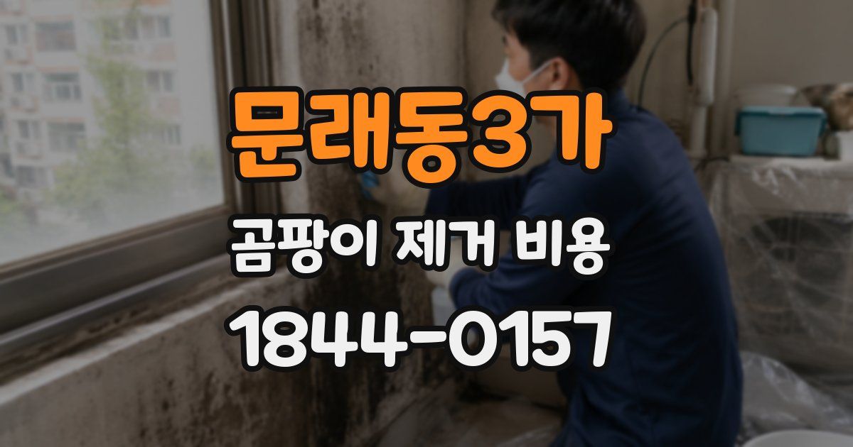 문래동3가 곰팡이 제거 비용