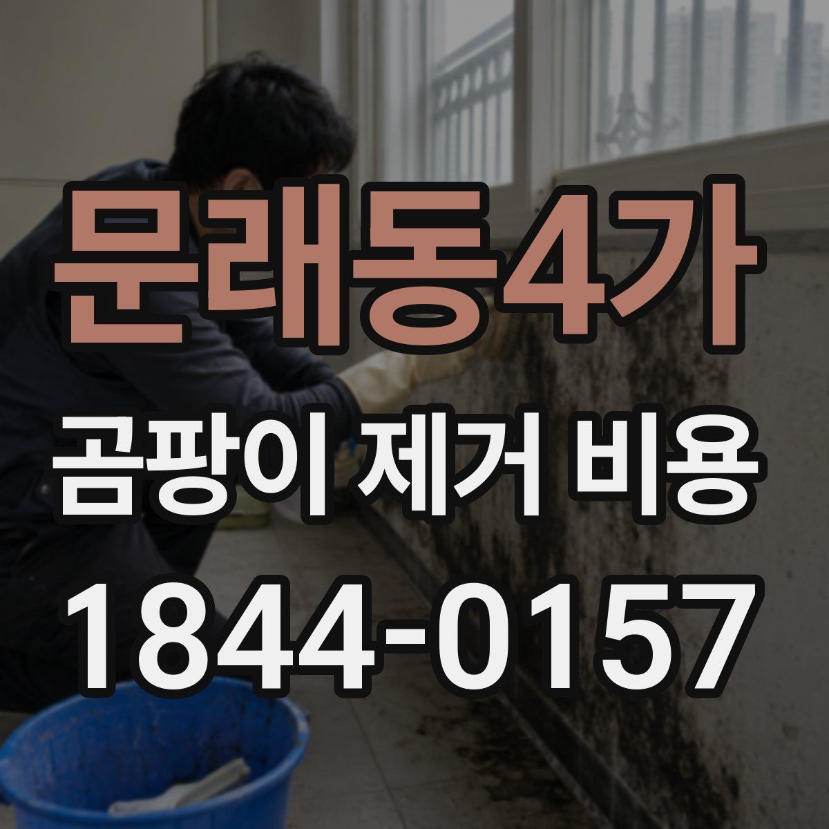 문래동4가 곰팡이 제거 비용