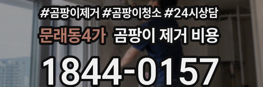 문래동4가 곰팡이 제거 비용