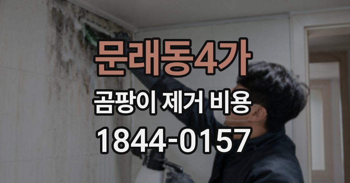 문래동4가 곰팡이 제거 비용