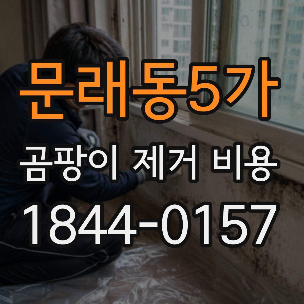 문래동5가 곰팡이 제거 비용