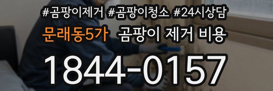 문래동5가 곰팡이 제거 비용
