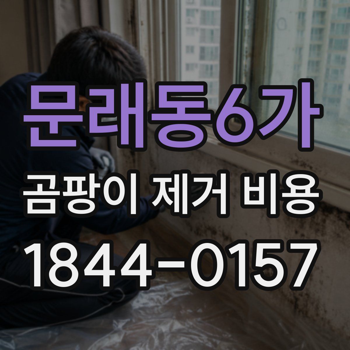 문래동6가 곰팡이 제거 비용