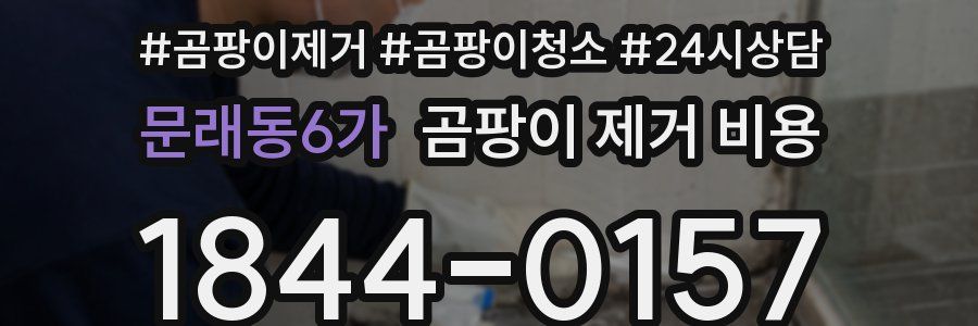 문래동6가 곰팡이 제거 비용