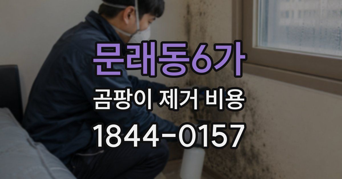 문래동6가 곰팡이 제거 비용