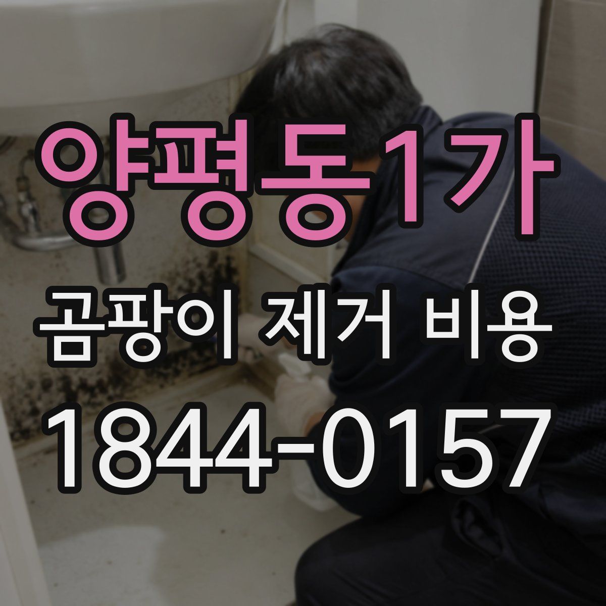 양평동1가 곰팡이 제거 비용