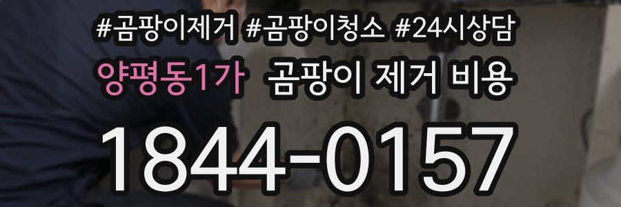 양평동1가 곰팡이 제거 비용
