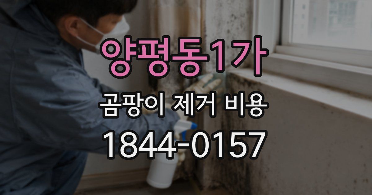 양평동1가 곰팡이 제거 비용