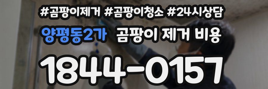 양평동2가 곰팡이 제거 비용