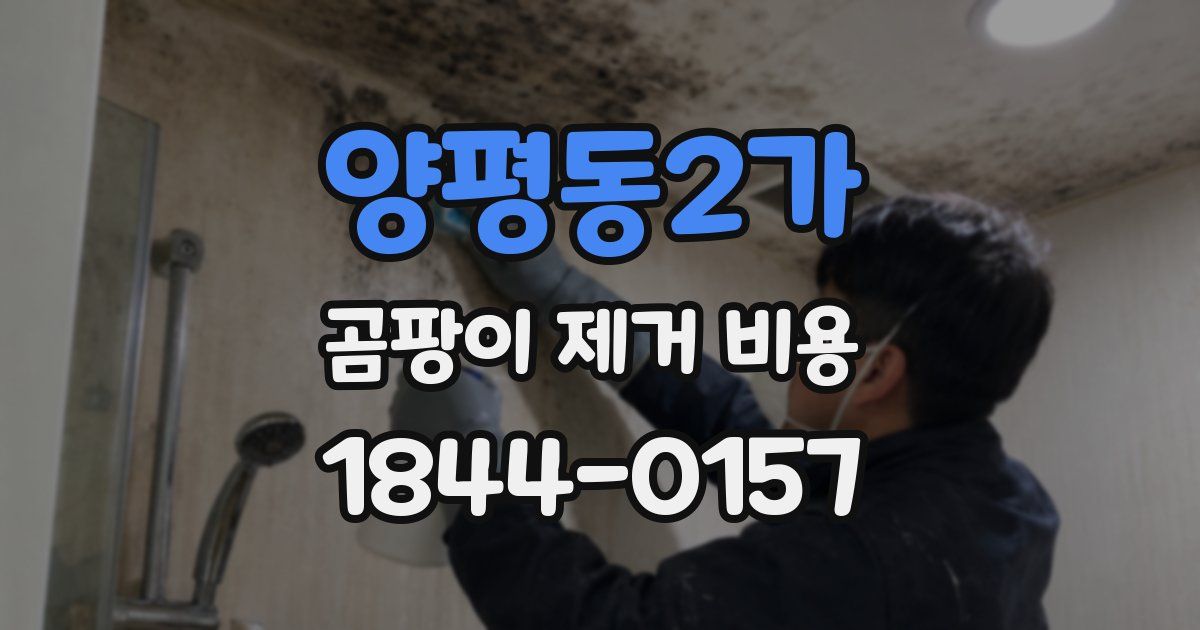 양평동2가 곰팡이 제거 비용