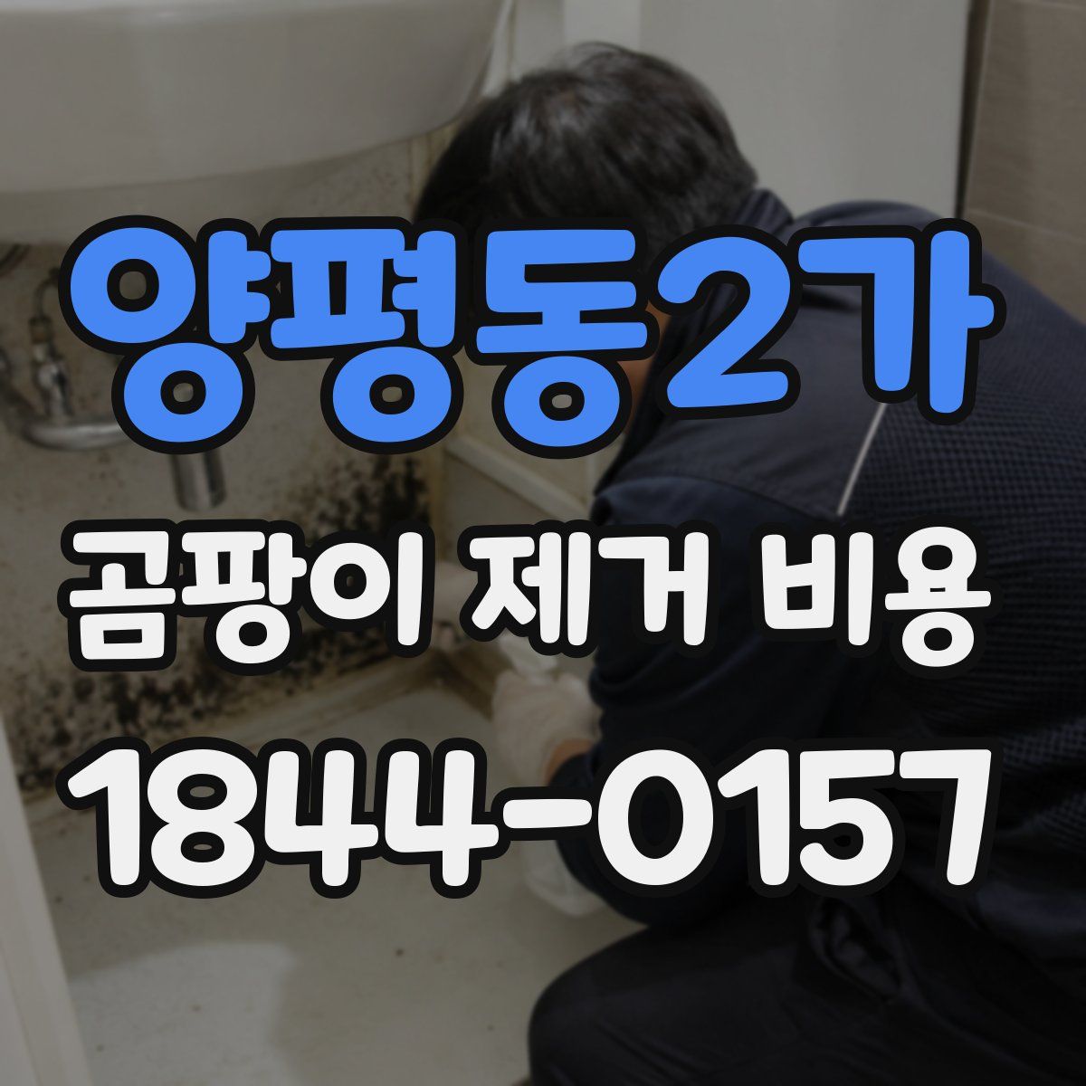 양평동2가 곰팡이 제거 비용