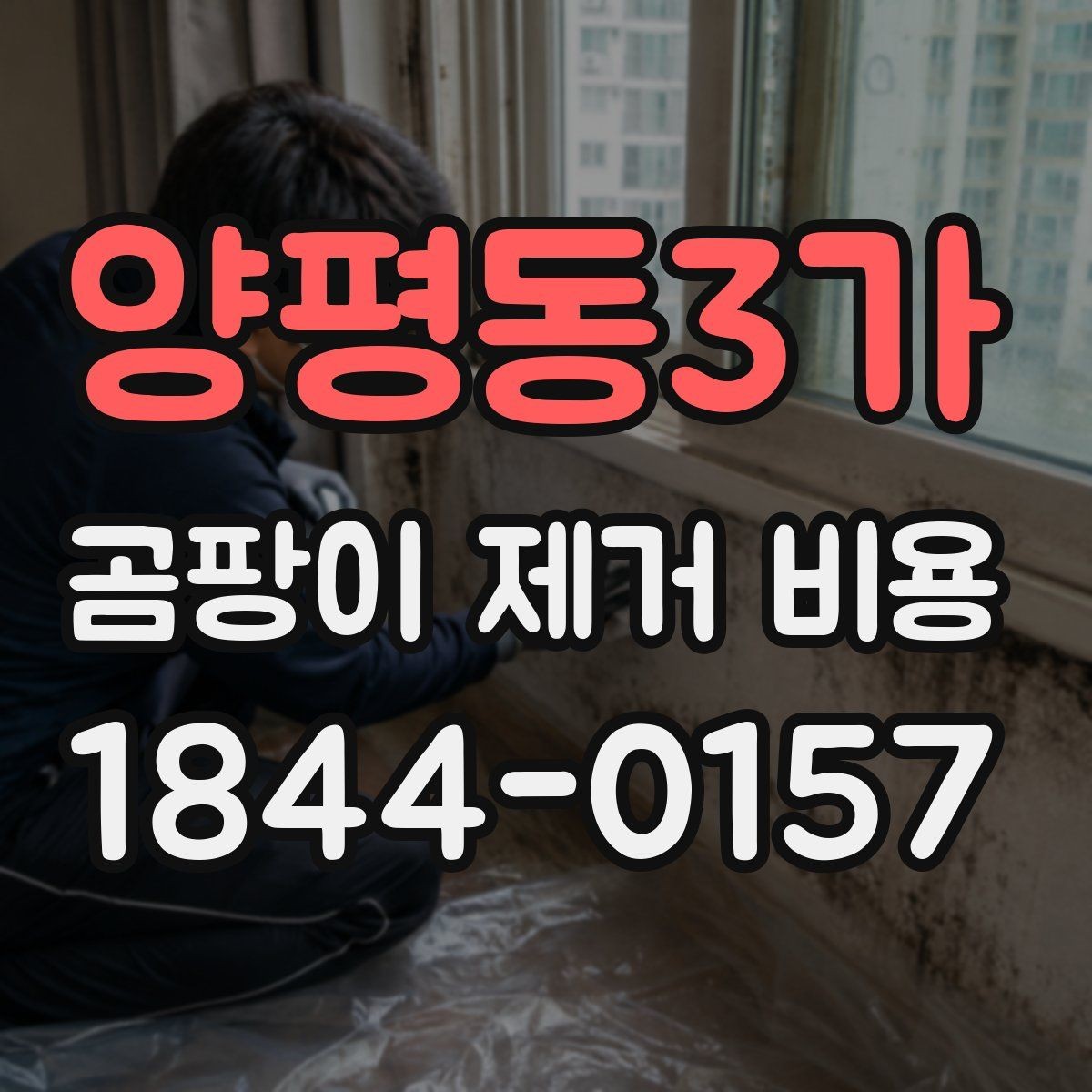 양평동3가 곰팡이 제거 비용 보험 청구 전에 확인해야 할 증빙 자료